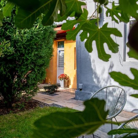 Dulcineea Downtown Garden Studio 티미쇼아라 외부 사진