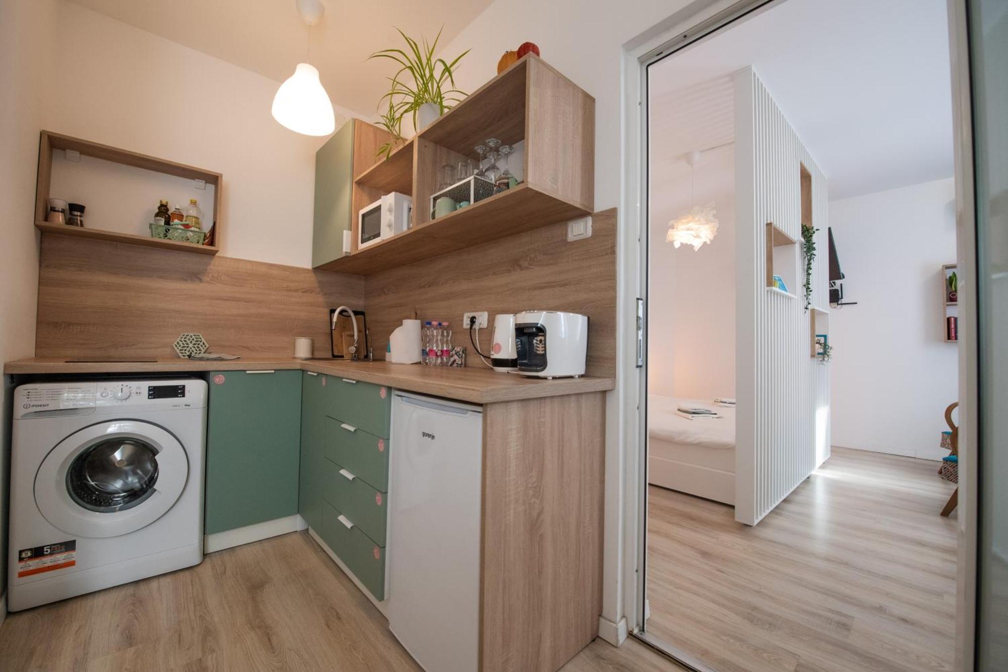 Dulcineea Downtown Garden Studio 티미쇼아라 외부 사진