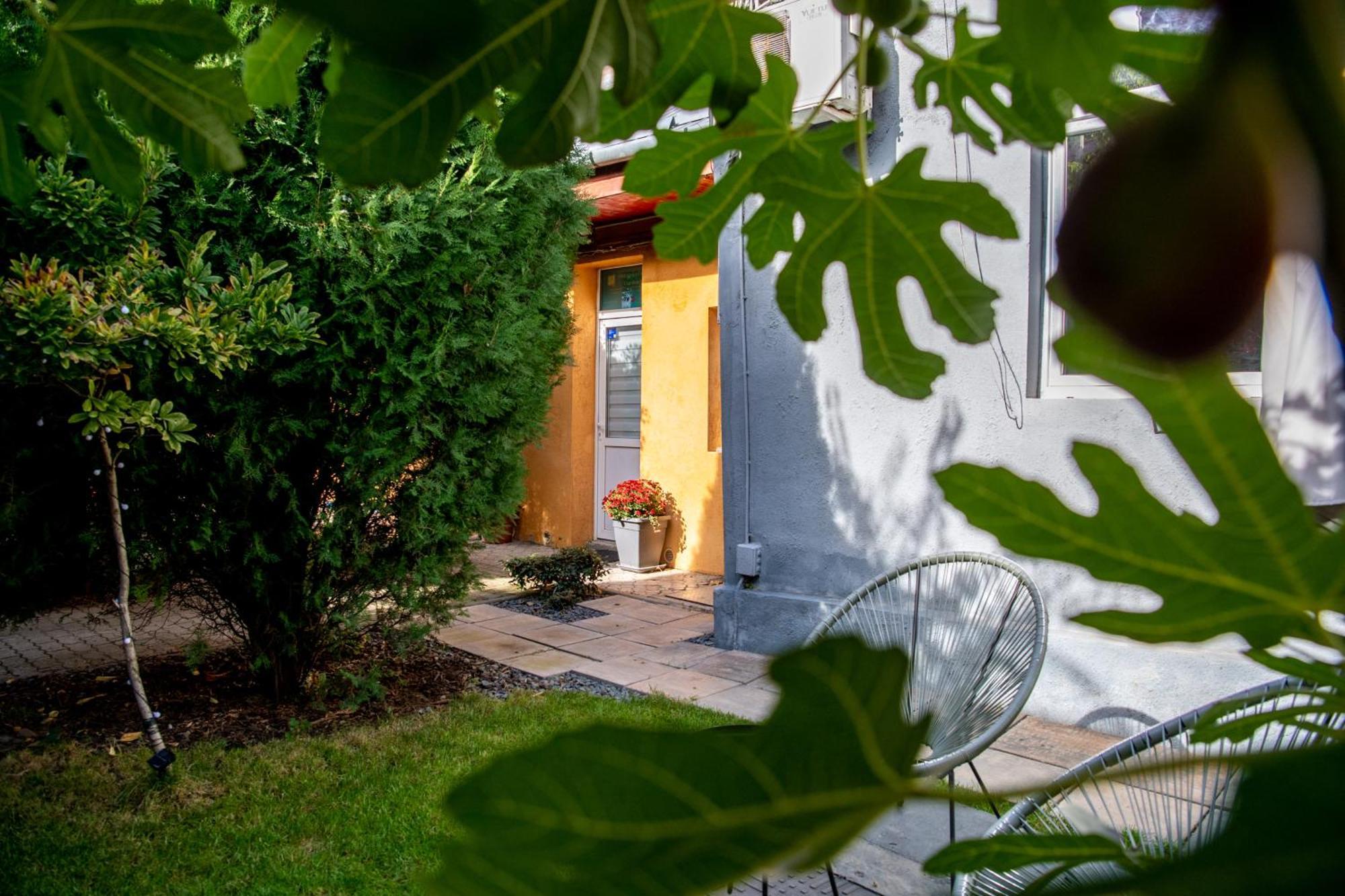 Dulcineea Downtown Garden Studio 티미쇼아라 외부 사진